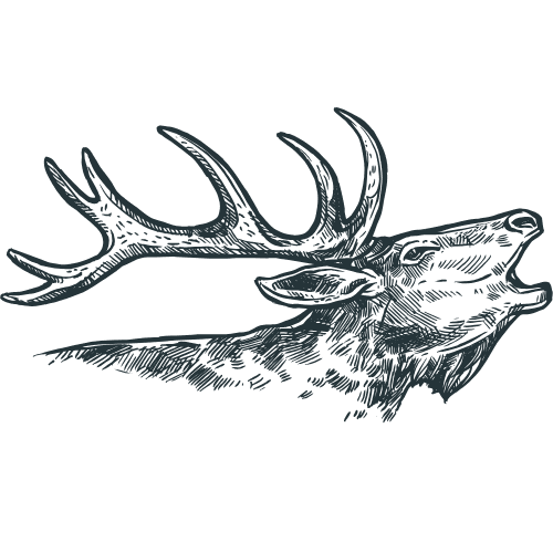 Gem State Holdings Logo